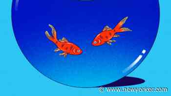 How Technology Has Reshaped The Ways We Talk To One Another