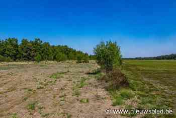 Nieuwe plannen voor Klein Schietveld stuiten op protest bij wandelaars, mountainbikers en jeugdbewegingen: “Ramp voor onze leden”