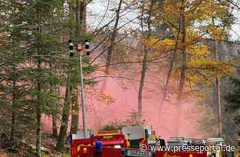 FW-OG: Schmale Forstwege - bergiges Waldgelände. Der Feuerwehr-Stresstest im Zell-Weierbacher Wald.
