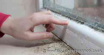 Condensation on windows? Mrs Hinch fans share 99p hack that 'works a treat'