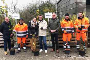 Klimaatactie Riemst Boomt zorgt voor 766 nieuwe bomen op één dag