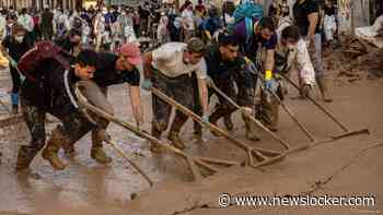 Nederlandse speurhonden weer thuis na zoektocht vermisten Valencia