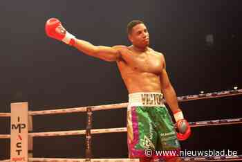 Victor Schelstraete wint eerste profkamp na knock-out in derde ronde: “Ik wist wel dat hij goed was, maar zo goed...”