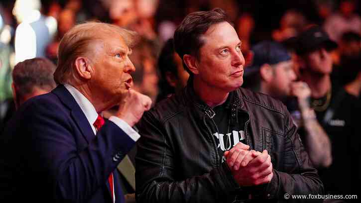 TikTok CEO reaching out to Elon Musk for information on Trump presidency: WSJ
