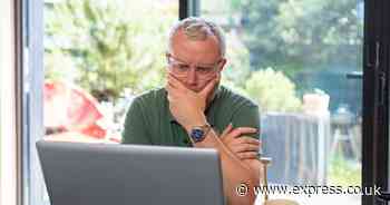 Britons warned of 'alarming rise' in online scam costing victims hundreds of pounds