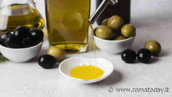 Tradizione e innovazione: l’olio EVO al centro di un racconto senza tempo