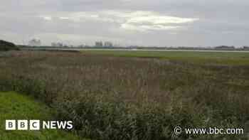 Carcinogen found in soil at former chemical site