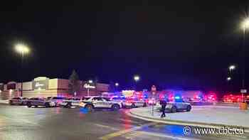 Winnipeg police shoot, kill man in Unicity parking lot after he stabbed officer in throat