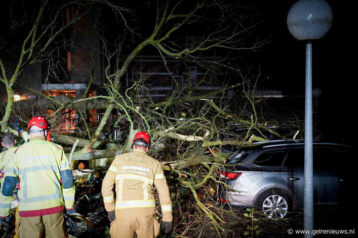Drie auto’s vernield door omgewaaide boom