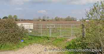 400 homes to be built on agricultural land in the New Forest