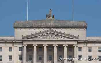 NI's political parties support motion for new bTB strategy