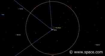The moon eclipses bright blue star Spica this week. Here's how to see it