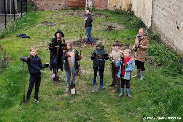Kinderen planten snoepbos op schooldomein: “Met bessen, appels en notenbomen”