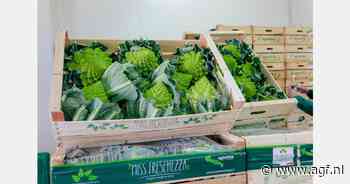 "Vraag naar Romanesco, broccoli en venkel groter dan aanbod"