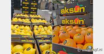 Kansen voor Turkse citrusexporteurs