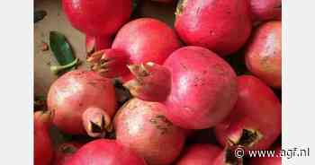 Sterke start Indiaas granaatappelseizoen