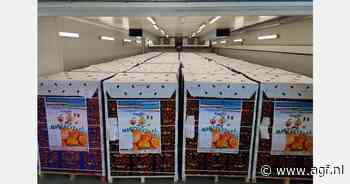 Goede vraag naar clementines in Polen, Hongarije en Frankrijk