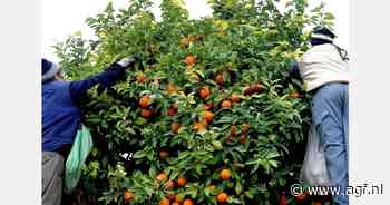 "Argentijnse citrusexport laagste in tien jaar"