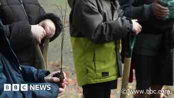 Pupils use 1792 plans to plant trees on estate
