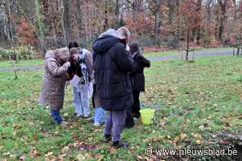 GruunRant krijgt hulp van scholieren om waterkwaliteit Zwanenbeek en Klein Schijn te onderzoeken