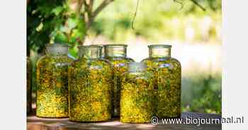 "Ik wil de komende jaren belangrijk zijn in de biodynamische wereld"