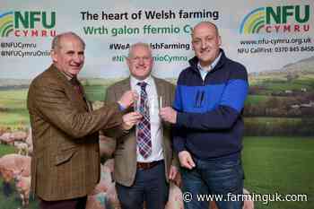 Father-and-son duo named 2024 Welsh Livestock Champions