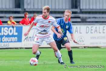 Onder impuls van een 22 op 24 verovert VW Hamme de leidersplaats: “Nog een sprintje van drie weken plaatsen”