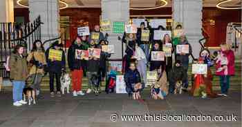 Pooch protest against changes to Tower Hamlets' dog walking rules