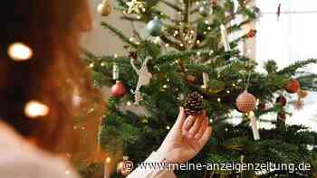 Geschenke bis Christbaum: Experte erklärt, wo „fake“ mitunter besser ist