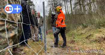 ASP: Training im Segeberger Forst für den Ausbruch der Schweinepest