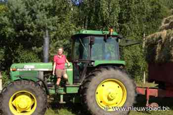Leefgebied van beschermde bruine vuurvlinder bedreigd door plannen van Aquafin? “Wij verzetten ons hier tegen”