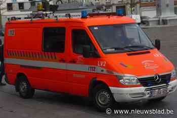 Brandweer verzaagt dikke takken om gevaar te voorkomen