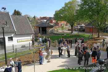 Geel zet komende jaren nog meer in op veiligheid en kwetsbare groepen: “Geen enkel kind mag met honger naar school”