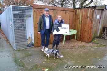 Negentien erkende dierenasielen krijgen steun van provincie: “Iedere euro is welkom want onze kosten blijven stijgen”