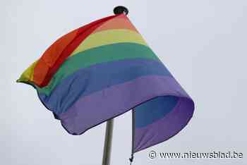 Jongeren vandaliseren regenboogvlaggen op Gemeenteplaats in Hemiksem