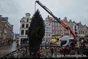 Daar is hij dan! Lierse Grote Markt heeft opnieuw een kerstboom
