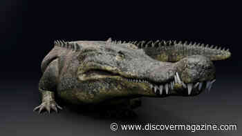 What We Know About Deinosuchus, the King of the Crocodilians