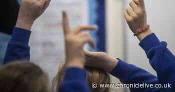 Union calls for end to 'high-pressure' exams for primary school children