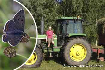 Bedreigde vlinder weer in gevaar door plannen voor grondopslag; Aquafin “wist van niets”