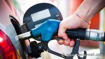 AAA predicts 4.1 million Floridians to drive for Thanksgiving as gas prices rise