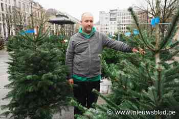 Vanaf dit weekend kan je een kerstboom kopen én de perfecte kerstfoto maken op de Kouter