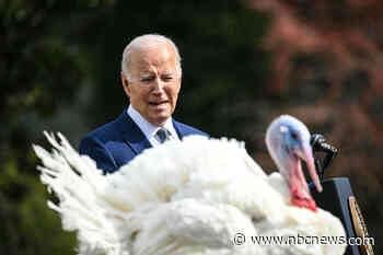 Biden pardons the last turkeys of his presidency