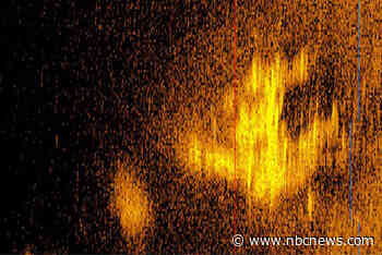 Image believed to show Amelia Earhart's plane was a rock formation — not crash site