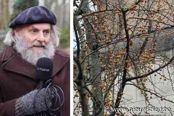 Bron van enorme stank in buurt van kerk is bekend en het heeft niets met dronken cafégangers te maken: “Tijdelijk probleem”