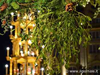 "I baci sotto il vischio sono un abuso". L'Ultima follia woke contro la tradizione