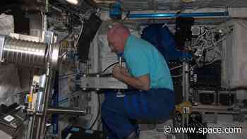 How do astronauts weigh themselves in space?