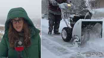 Edmonton gets first significant snowfall