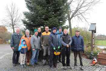 Ein besonders schöner Baum für Liemke