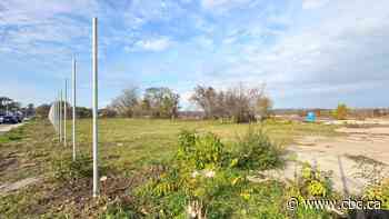 Work to build Hamilton's 1st outdoor shelter by winter halted by Ministry of Labour
