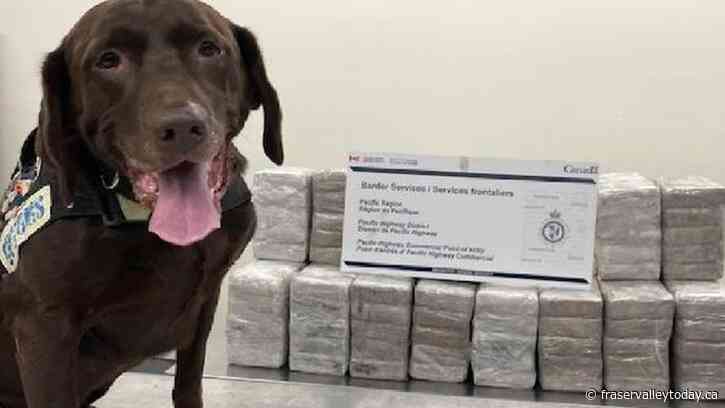 CBSA Seizes 246 kg of cocaine in drug busts at Aldergrove and Pacific Highway border crossings